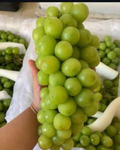 Pemkot Kediri Repid test Anggur Shine muscat Mencuatnya isu Penemuan Residu Peptisida